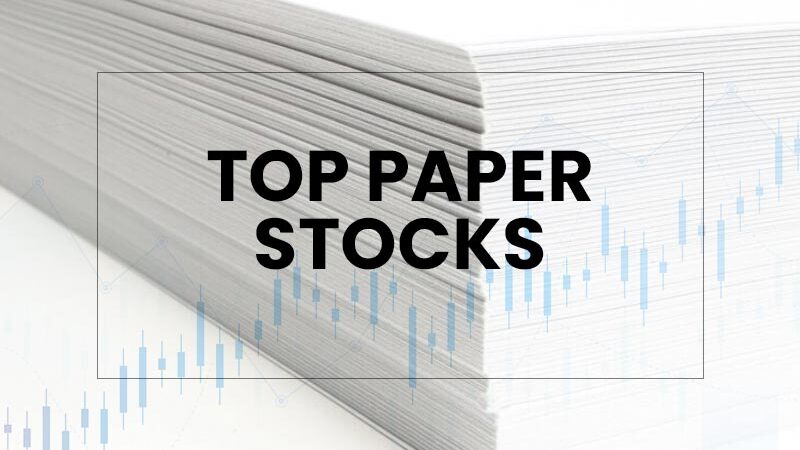 Best Paper Stocks Worth Investing In India In 2024