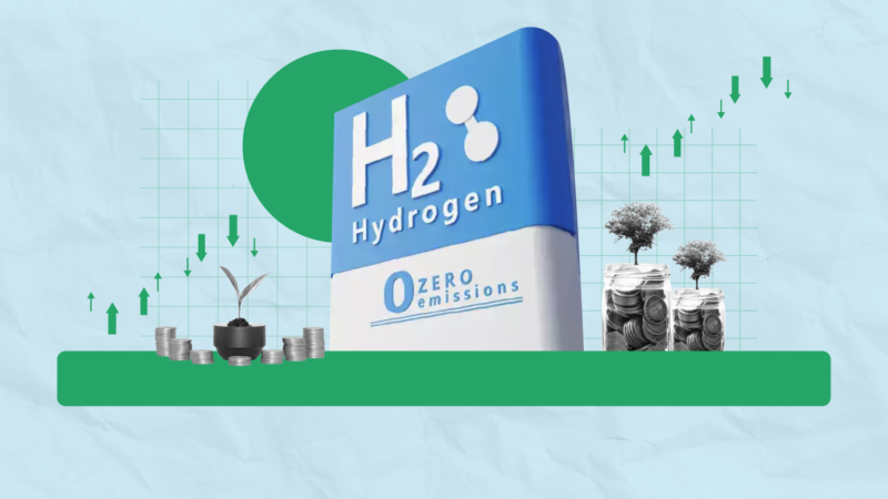 Best Green Hydrogen Stocks in India (2024)