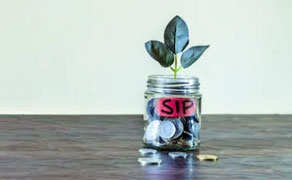 Unveiling The 5 Best SIP Mutual Funds For A 5-Year Investment Strategy