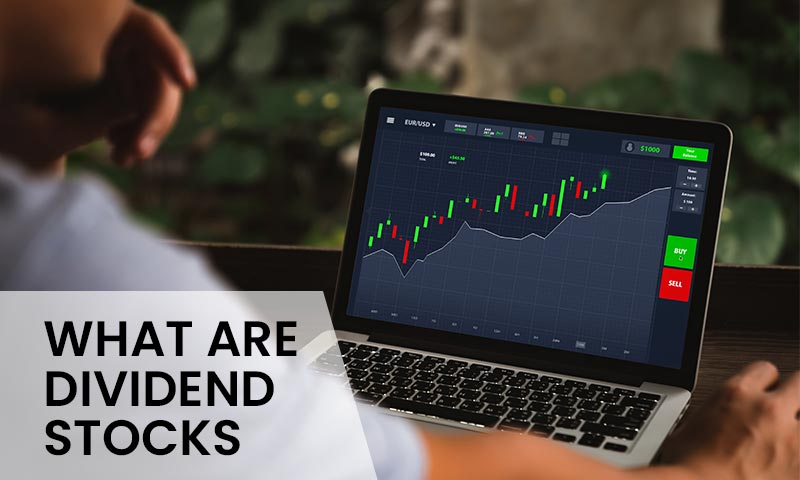 All You Need To Know About Dividend Stocks