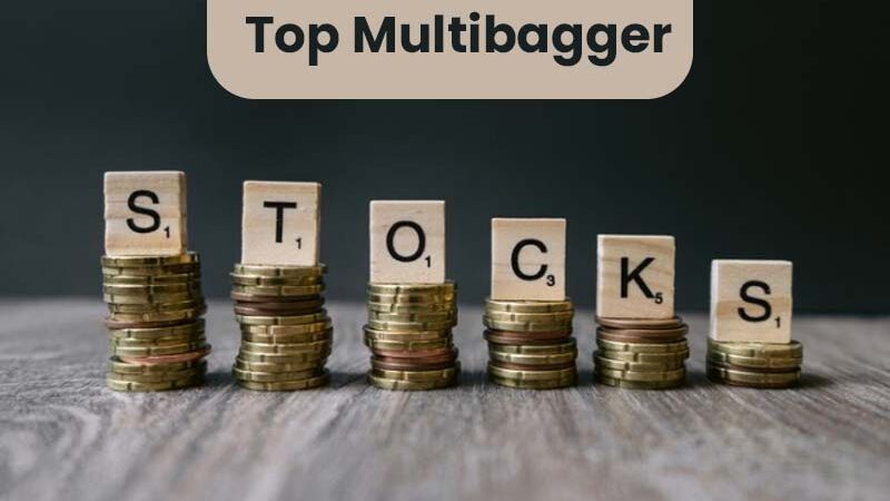 Best Multi-Bagger Stocks To Buy From The Nse India In 2024