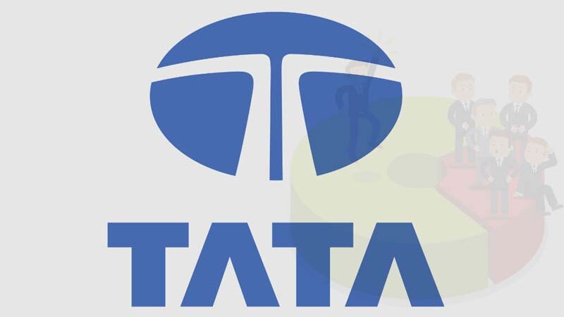 Top Tata Stocks To Invest For The Long Term In 2024