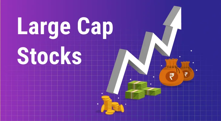 What are Large Cap stocks?