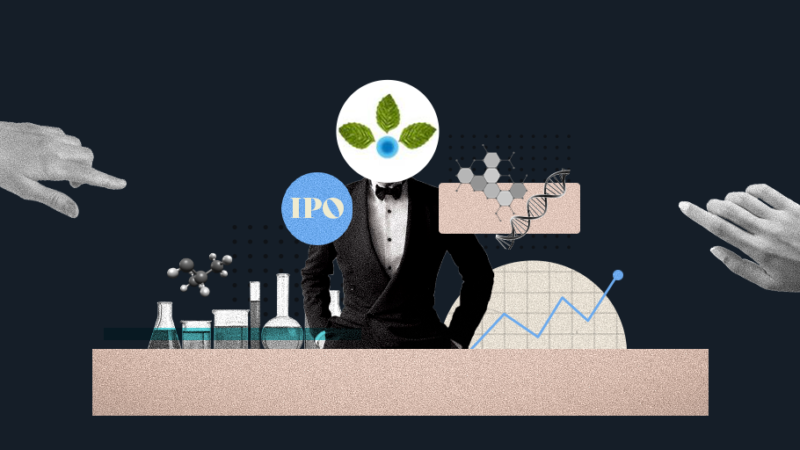 Analysing Anupam Rasayan IPO