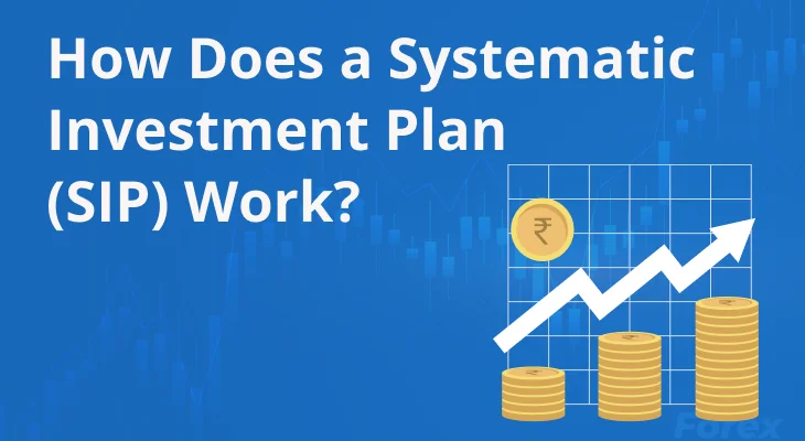 How Does a Systematic Investment Plan (SIP) Work?