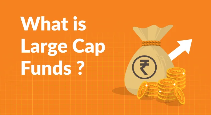 What are Large Cap Funds?