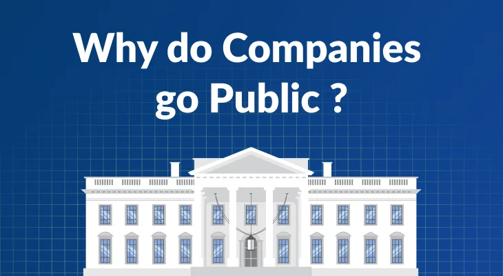 Why Do Companies Go Public?